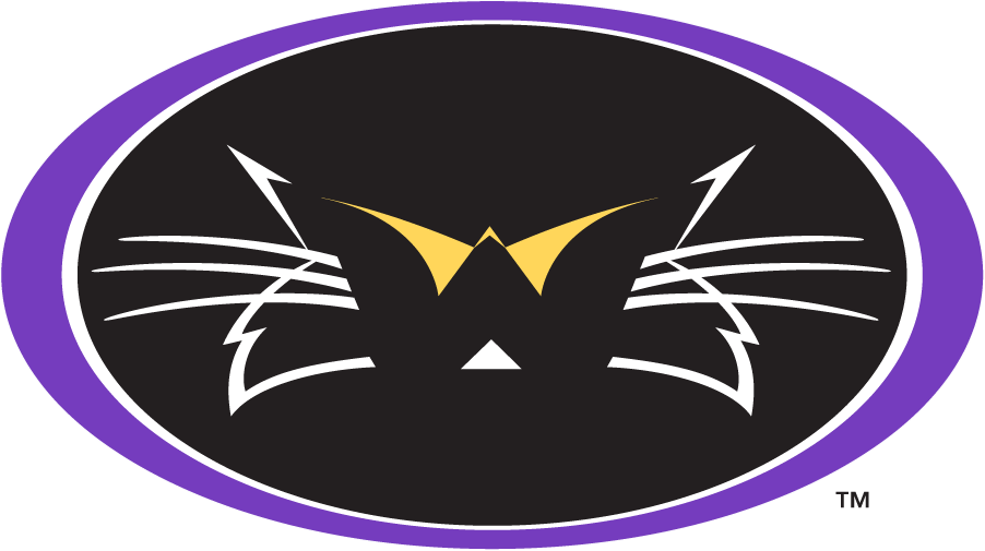 Western Carolina Catamounts 1996-2003 Secondary Logo v2 diy iron on heat transfer